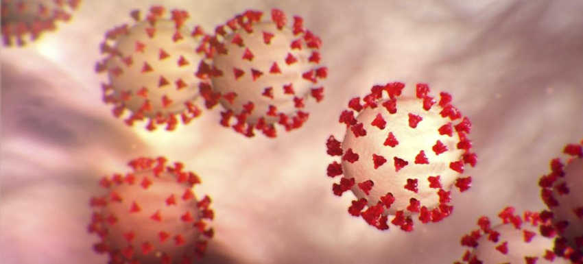 Fichu virus !
