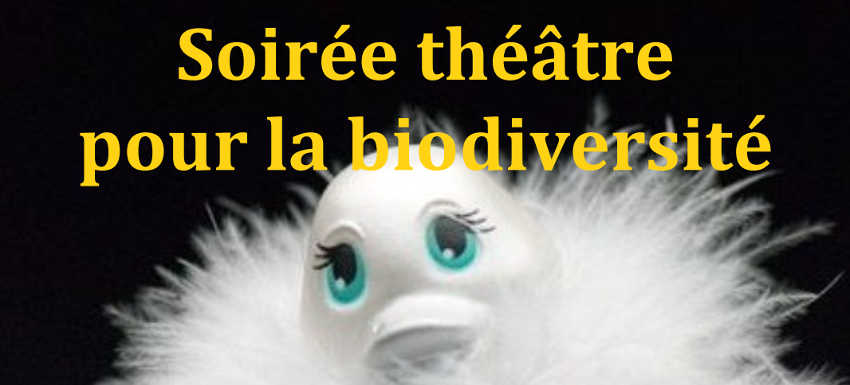 RC Metz Rive gauche : Soirée théâtre solidaire de la biodiversité