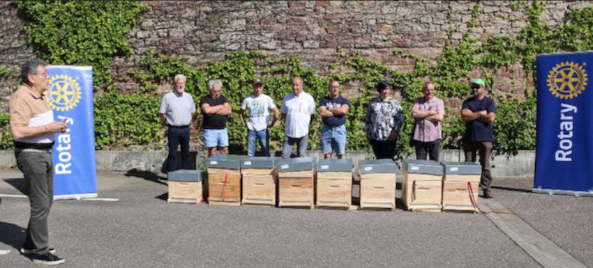 RC Baccarat : Des abeilles pour maintenir la vie 