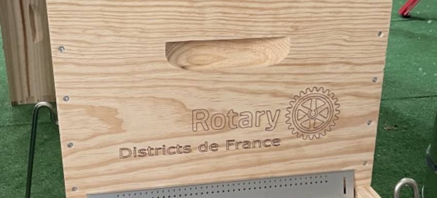Après la belle floraison de rosiers, le temps des ruches