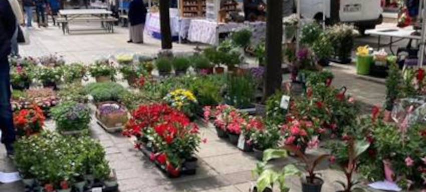RC Thionville Malbrouck : Nouvelle floraison du marché aux fleurs